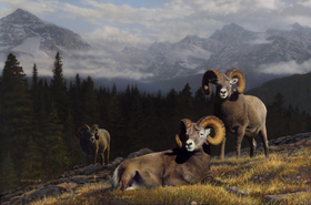 Home of the Mountain Gods - Big Horn Sheep