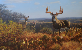 Texas Trophy - Milton Parnick George Buck