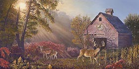 Whitetail Heaven by Pat Pauley